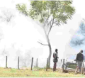 Police Fire Teargas at Jakoyo Midiwo’s Burial as Rowdy Mourners Demand to View Body