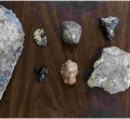Uproar as Kenya Controversially Ships 145 Ancient Fossils to France