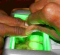 Party Demands Registration of All Kenyans in the Diaspora as Voters 