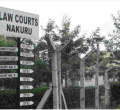 Kenyan Couple in Bitter Court Battle over Children's Relocation to the US 