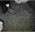 Kenyan Man Arrested with Thousands of Spent Bullet Cartridges in Nakuru