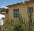I Was Coerced, Single Mother Who Rejected President Uhuru’s Sh2 Million House Says 