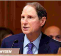 Senator Says ICE Secretly Collected Data of Money Transfers Sent to and from the US