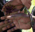 Kenyans Among Foreigners Arrested at an Illegal Farmhouse Party in India 