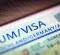 Germany to Unveil a Points-Based 'Green Card' to Plug Labor Shortage 