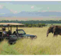 US Retains Its Place as Largest Source Country for International Visitors to Kenya