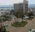 Kisumu Hotel and Lodging Owners Put on Notice over Bedbug, Rat Infestation 