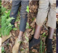 Murang'a: Two Suspected Thugs Gunned Down, Sh1.1 Million Recovered After Unaitas Sacco Heist