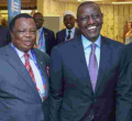 I'm Keen to Create Jobs for Youths, Ruto Tells Diaspora 