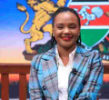 Government Puts in Place Structures to Attract Diaspora Investments