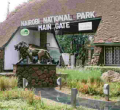 Kenya Govt Grants Free Entry to National Parks on Jamhuri Day