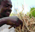 From Mukombero to Maasai Shuka: The Surprising Global Appeal of Kenya Household Items 