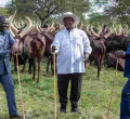 Ruto-Odinga Meeting Sparks Speculation of Political Truce