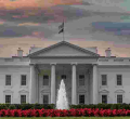 White House to Address Concerns Over Green Card Delays