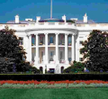 White House Extends Ceremonial Invitation to Kenyan Diaspora for Ruto's Arrival