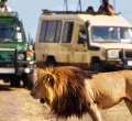 Kenya's Tourism Revenue Soars to All-Time High of Sh352 Billion