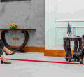 US Blasts Ruto's Administration for Excessive Force and Repression of Protesters