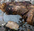 Everest Climber's Foot Found After 100 Years of Mystery 