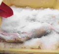 Kenyan Company Wins Prestigious Earthshot Prize for Innovative Waste-Reduction Solutions