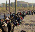 The US Undocumented Population Reaches 10.99 Million as Trump Promises Deportations