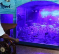 Mombasa Maritime Museum Reshapes Kenya's Historical Identity