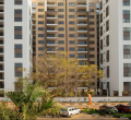 Superbrands East Africa Honours Mi Vida for Raising Real Estate Standards in Nairobi