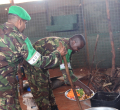 Kenya Defence Forces End Free Lunch, Soldiers to Start Paying From July 1