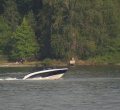 Individual Dies After Being Pulled from Lake Washington