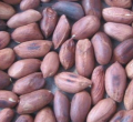 KEBS Cracks Down on Uncertified Goods in Karen, Ngong, and Kiserian