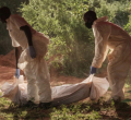 Shakahola Returns: More Bodies Unearthed at Kwa Bi Nzaro
