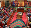 Senators Call for Certificate of Good Conduct to Be Valid for Life