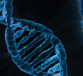 Claims of Fake DNA and Birth Certificate Fuel Nairobi Custody Fight