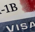 H-1B Visa Limit Could Rise to 130,000 in Proposed Legislation