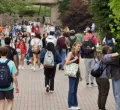 US International Student Numbers Hit Record High, Driven by OPT Growth