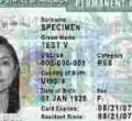 US Policy Change Requires Immigrants to Return to their Home Country to Apply for Green Cards