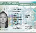 Trump Administration's New Green Card Guidance Raises Concerns Among Immigrants in the US