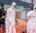 Mt Kenya MPs Pressure Government Over Proposed Ebola Quarantine Centre