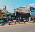 Mystery Deaths of 11 Cats and Dogs Spark Poisoning Fears in Utawala Estate
