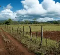 When a Title Deed Is No Longer Enough to Protect Your Land in Kenya