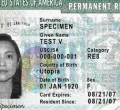 US Announces Crucial Deadline for Foreigners Holding 2-Year Green Cards