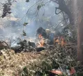 Breaking: Tragic Helicopter Crash Claims Lives of Tourists and Pilot in Samburu