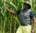 Ruto: Even My Maize Was Wiped Out by Drought