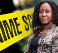 Five Lawyers Withdraw from Rose Mbithe Mulwa Murder Case  