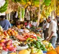 Kenya Warns of Cholera, Typhoid and Aflatoxin Risks Ahead of El Niño Rains