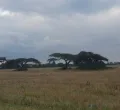 Why More Kenyan Women Are Buying Land
