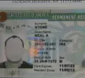 Kenyan Creator Warns of Fake Green Card Email Scam