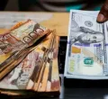 Kenyans Abroad Send Less Money Home as Remittances Decline