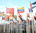 Surge in Solar Panel Sales Reflects Global Shift Towards Renewable Energy