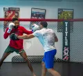 UFC Fighting Cage Erected on White House Lawn for Historic Celebrations
