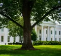 White House Convenes Tech Giants to Tackle AI Safety Amid Cybersecurity Concerns
